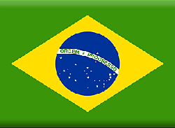 LEZIONI E TRADUZIONI - PORTOGHESE DEL BRASILE / BRASILIANO 