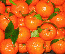 Le clementine calabresi Igp della Piana di Sibari