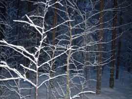Paesaggio invernale